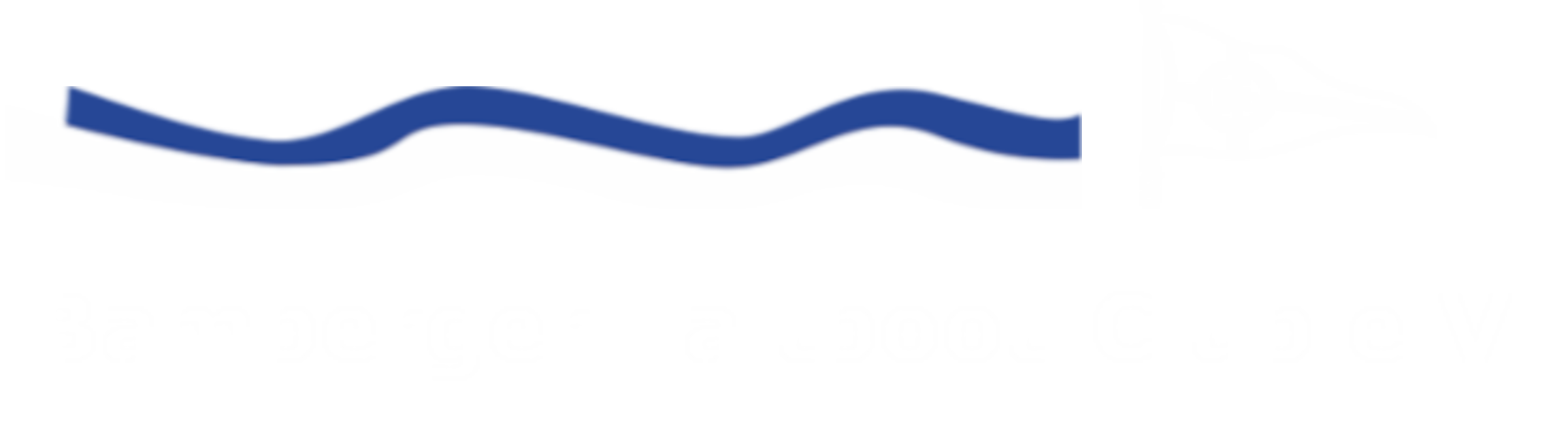 BFC - Bamberger Faltbootclub e.V. logo